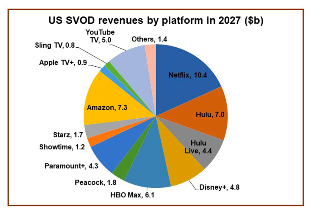 The Market of Netflix Platform