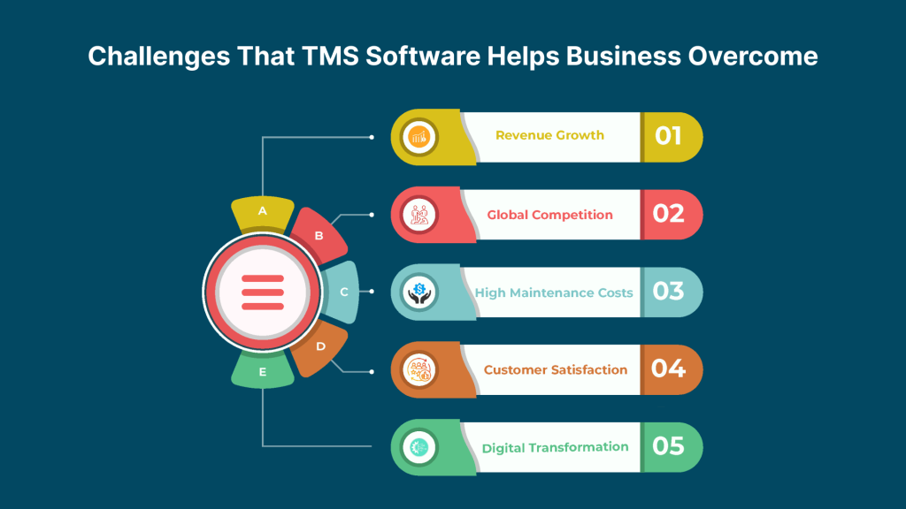 Challenges That TMS Software Helps Business Overcome